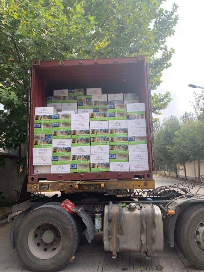 水止めゴムストライプ RX-2030 コンクリート接合物用 400% 膨らみ水利性ストライプ 17